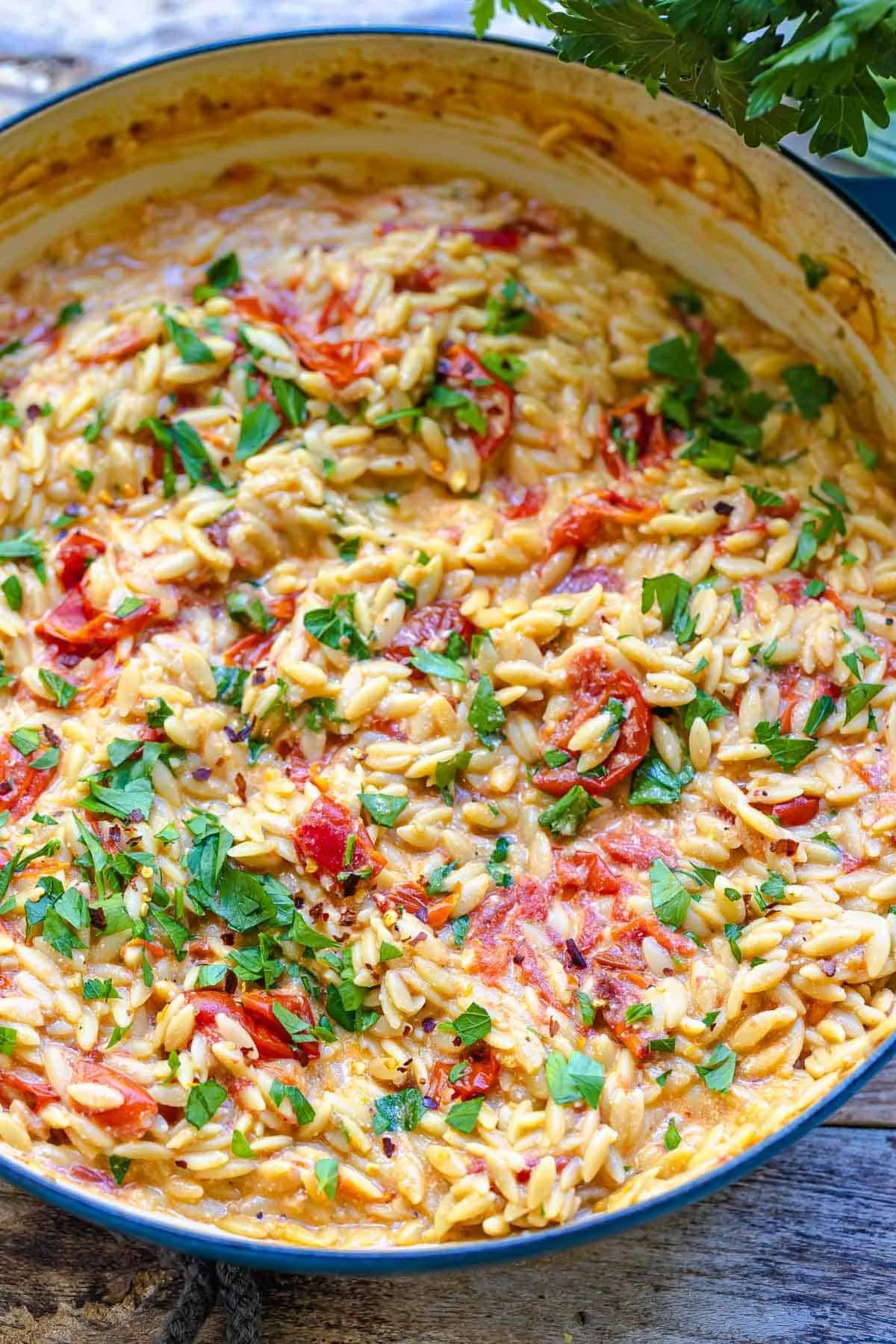Creamy orzo with garlic, Parmesan cheese, and blistered tomatoes served in a bowl.